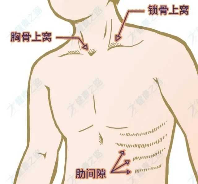 胸口蔽骨的位置图图片