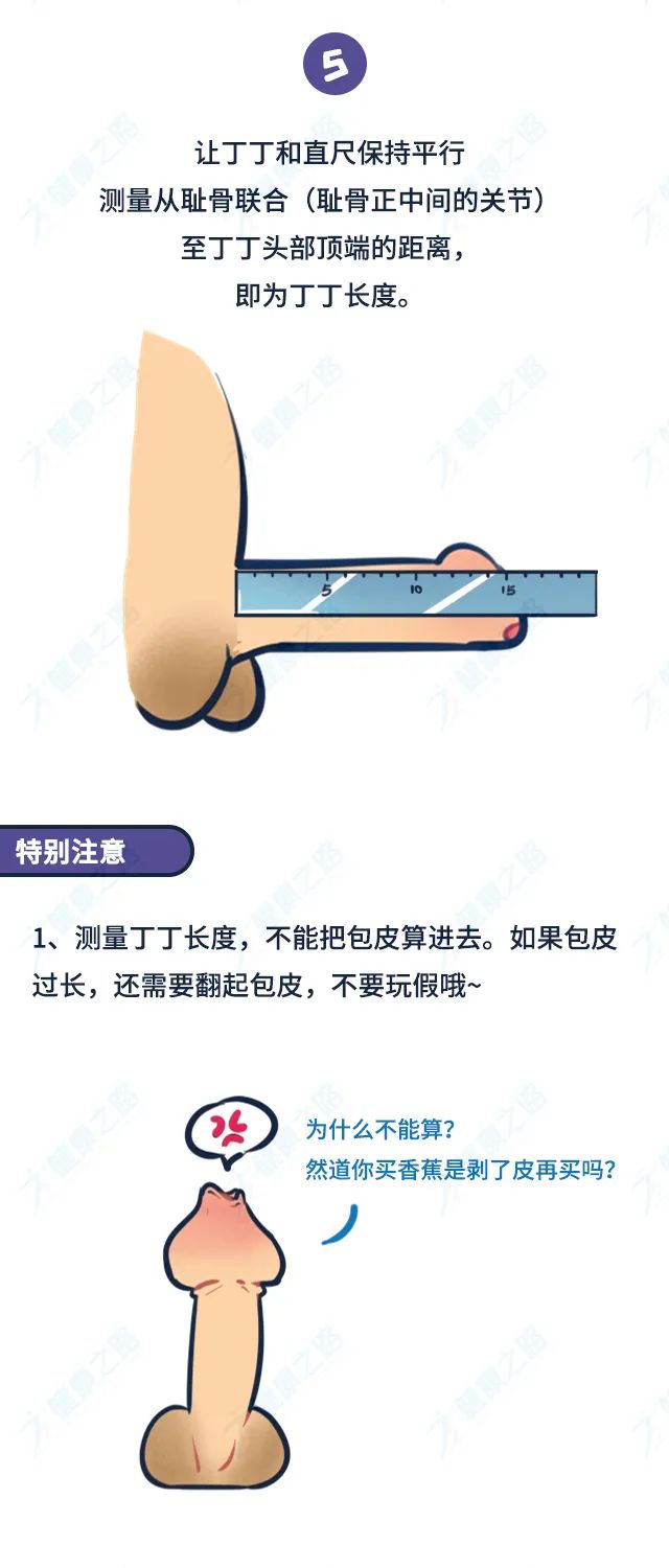 中国男性丁丁的平均长度平均时间是你拖后腿了吗