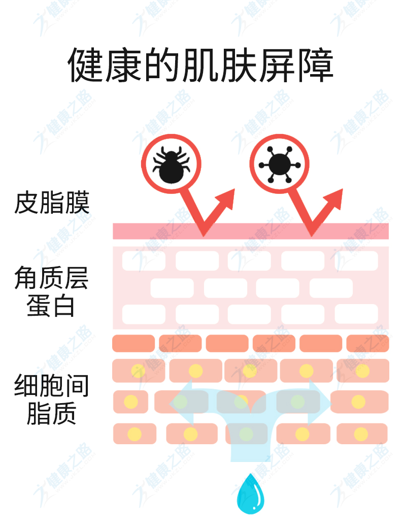 肌肤敏感容易刺痛发痒,天天补水依然干燥脱皮…都是这个原因!