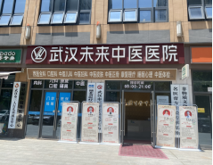 武汉未来中医医院