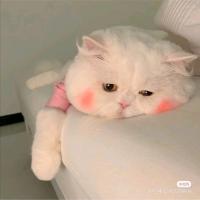 王一起
